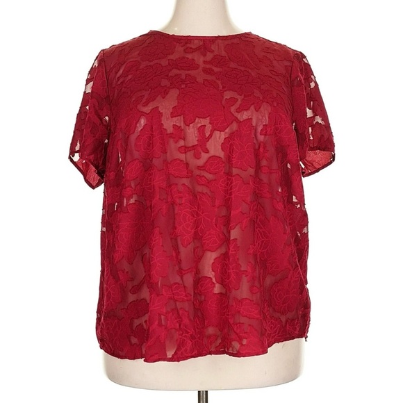 NWT Torrid Red Chiffon Clip Floral Bubble Hem Flutter Sleeve Blouse Size 2X - Picture 2 of 9